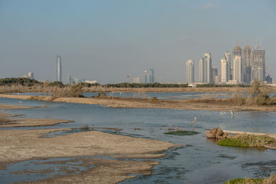 Flamingoes in ras al khor wildlife sanctuary, ramsar site, flamingo hide2, dubai, uae