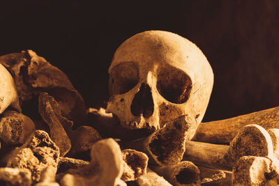 Close-up of human skull and bones
