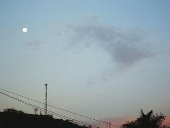 Low angle view of silhouette birds flying against sky at night