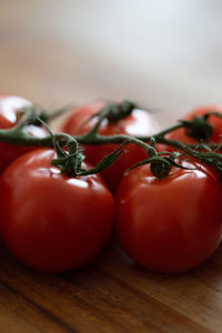 Close-up of tomatoes on table