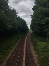 Empty railroad track amidst trees against sky