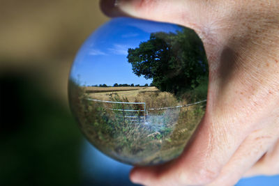 Close-up of person holding crystal ball
