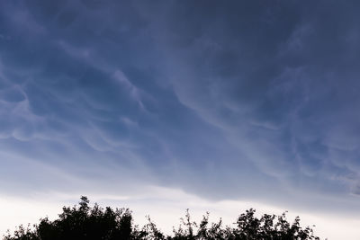 Low angle view of silhouette trees against sky