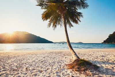 Scenic view of sea against clear sky