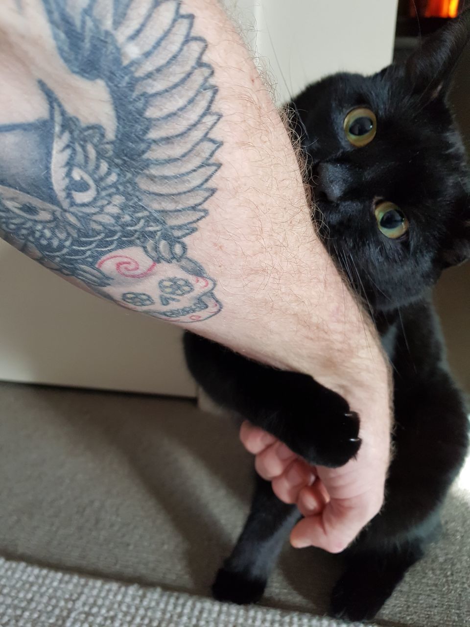 CLOSE-UP OF MAN HOLDING BLACK DOG AT HOME