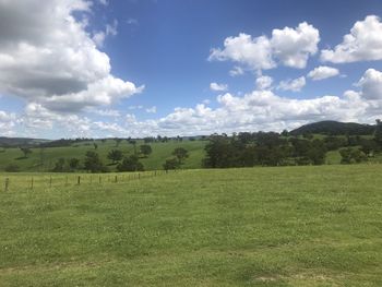 Scenic view of field against sky