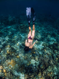 High angle view of woman swimming in sea