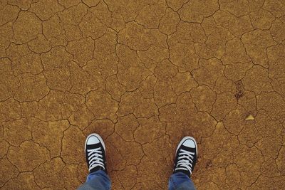 Low section of man standing on barren landscape