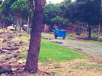 Vehicles on road along trees in park