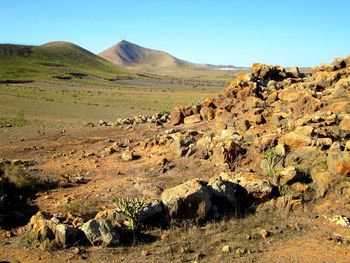 Scenic view of landscape against clear sky