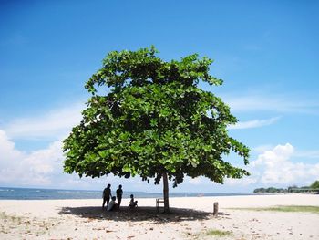 People under tree shade at jimbaran beach