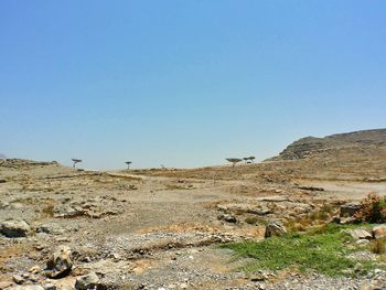 Scenic view of landscape against clear blue sky