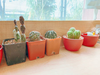 Close-up of potted plant on table