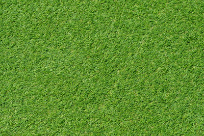 Full frame shot of grass