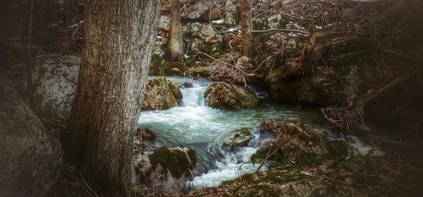 View of waterfall