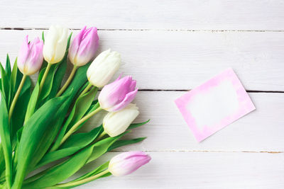 Close-up of pink tulip on table