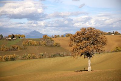 Autumn colors