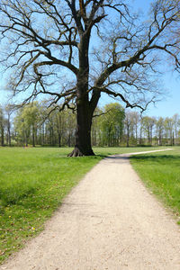 Road amidst trees on field against sky