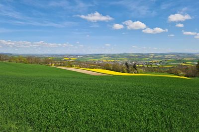 Scenic view of agricultural field against sky