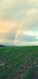 Scenic view of rainbow over field against sky