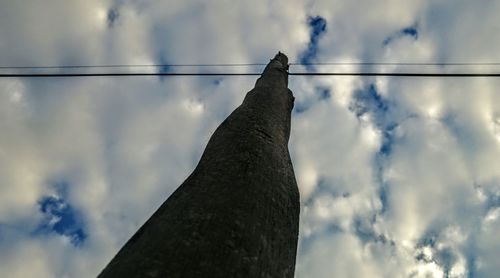 Low angle view of bird against sky