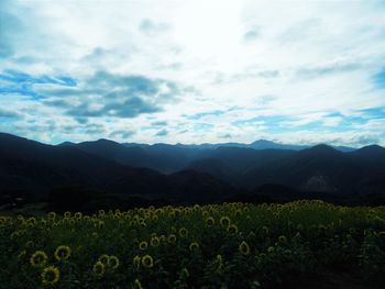 Scenic view of grassy field against cloudy sky