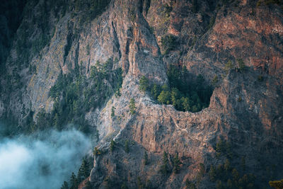 Scenic view of rock formation in water