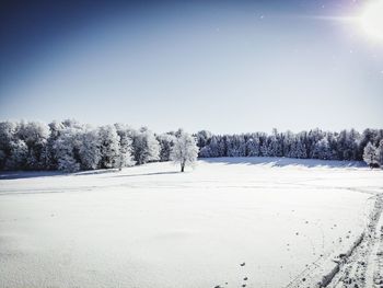 Trees on snow covered field against sky