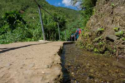 People walking on footpath