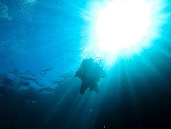 Low angle view of silhouette scuba diver swimming in blue sea