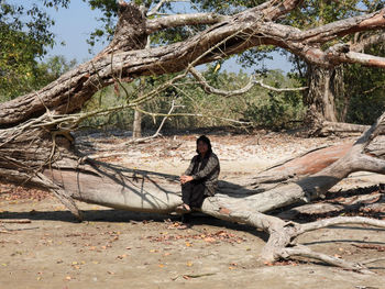 Side view of young man sitting on fallen tree