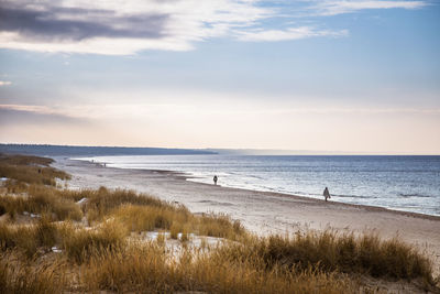 A beautiful landscape of a baltic sea beach