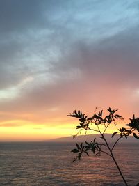 Scenic view of sea at sunset