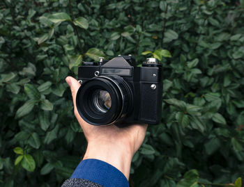 Cropped hand holding camera against plants