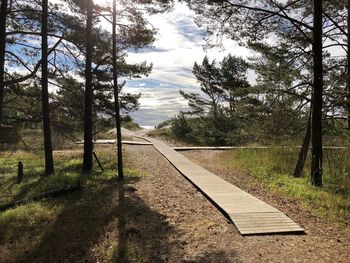 Road amidst trees against sky