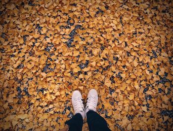 Low section of person standing on dry leaves during autumn