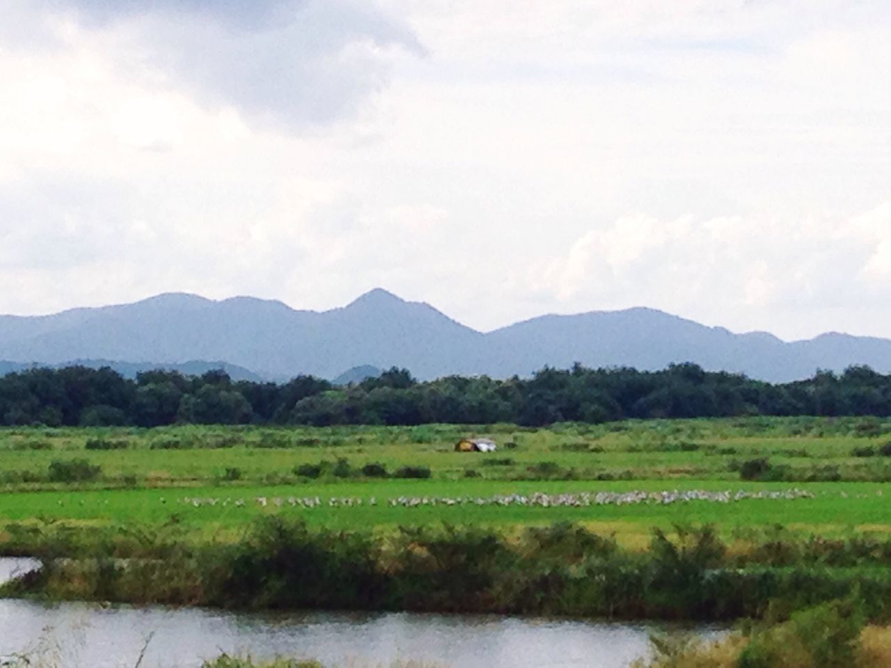 SCENIC VIEW OF MOUNTAIN RANGE