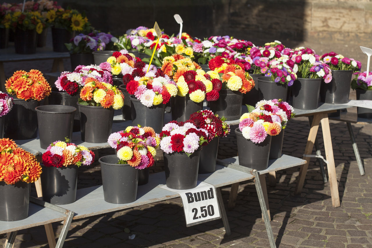 VARIOUS FLOWERS FOR SALE IN MARKET