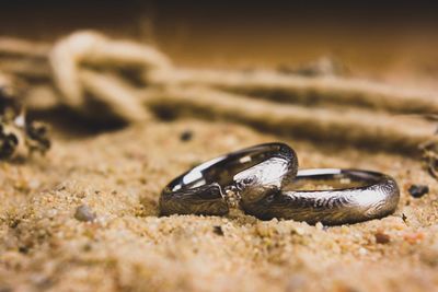 Close-up of wedding rings on sand