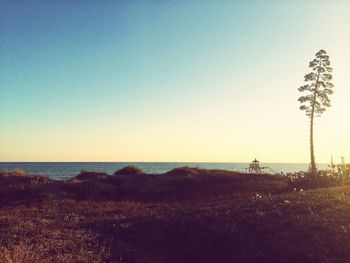 Scenic view of sea against clear sky