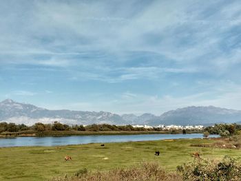 Scenic view of lake against sky