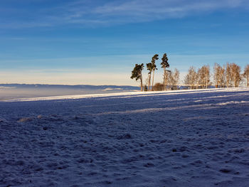 winter