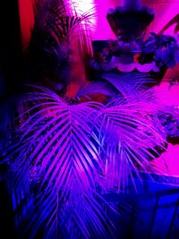 Close-up of illuminated lighting equipment at night