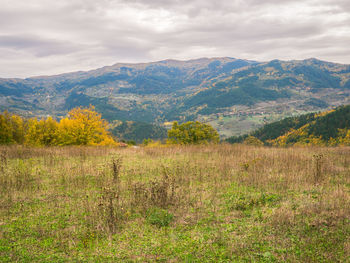 Scenic view of grassy field against cloudy sky