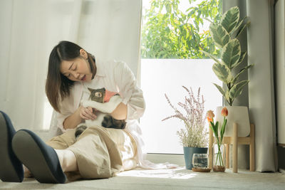 Asian woman play with white brown tabby scottish straight cat in her living room