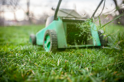Close-up of grass on grassy field