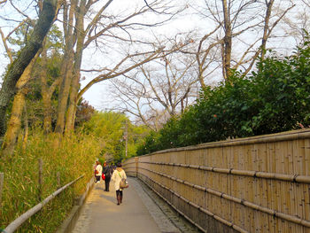 View of people on sidewalk amidst grass and bamboo wall