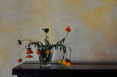 Wilted flowers on table against wall