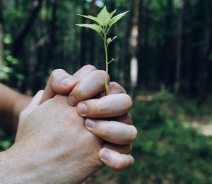 Close-up of hand holding hands