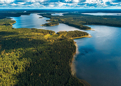 High angle view of plant in sea